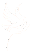 Logo Haus des Abschieds